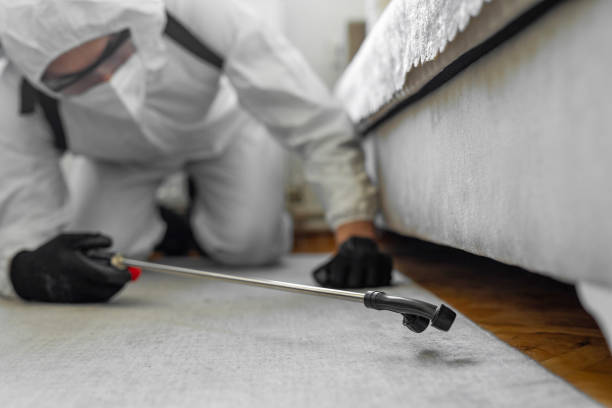 Professional Termite Control technician working in Walcott, IA