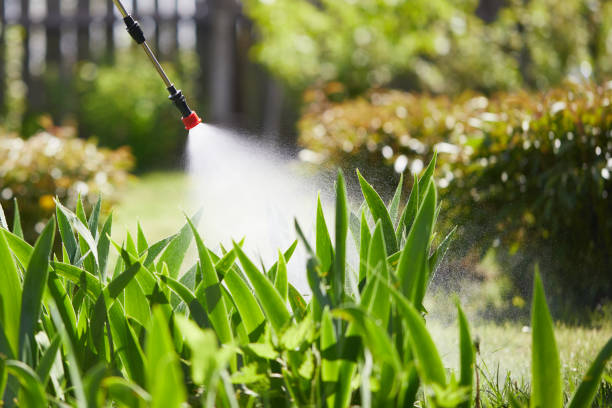 24/7 Emergency Termite Control experts in Walcott, IA