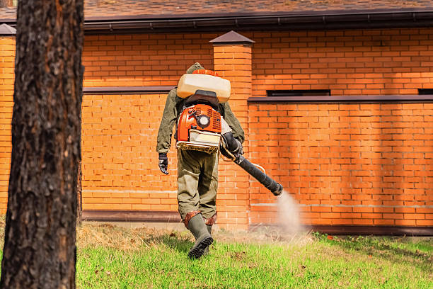 Top rated local Termite Control specialists in Walcott, IA
